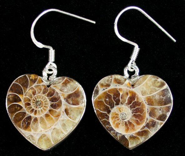 Heart Shaped Ammonite Earrings - Sterling Silver #10179